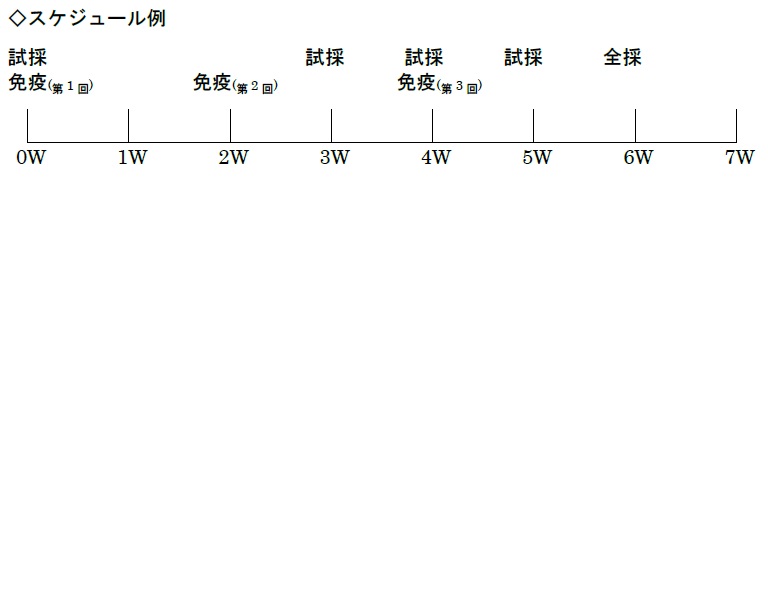 ポリクロスケジュール例